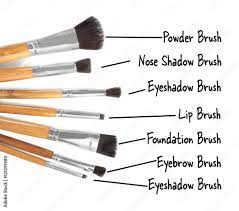 set of professional makeup brushes with