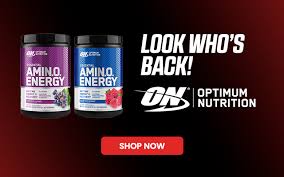 optimum nutrition uk bodybuilding com