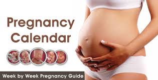 Pregnancy Week By Week Archives Pregnancy Health