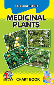Cut N Paste Medicinal Plants