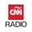 Foto de perfil de CNN RADIO ARGENTINA AM950