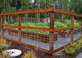 Garden Fence Ideas