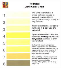 Free 7 Sample Urine Color Chart Templates In Pdf