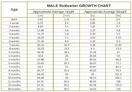 You Will Love Twin Fetal Growth Chart Pregnancy Weight Chart