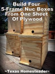 From the bee book by dk. How To Build A Quick 5 Frame Beehive Nuc Box It S Helpful This Time Of Year To Have Small Beehive Boxes At The Ready Fo Bee Hive Plans Bee Boxes Backyard Bee