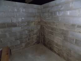 Basement Mold Remediation Removal In