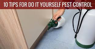 I started this website to help others like you learn how to control and get rid of pests without hiring an exterminator. 10 Tips For Do It Yourself Pest Control The Diy Guide