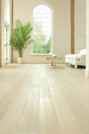 carlisle wood floors on modenus top ten