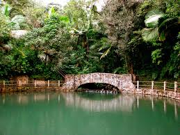el-yunque-rainforest-tour-puerto-rico | #ExperienceTransat – Memories of  Transat Holidays travelers
