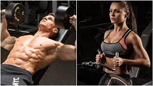 the push pull workout system the barbell