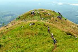 Bukit baka bukit raya national park was created in 1992. Broga Definition And Synonyms Of Broga In The English Dictionary