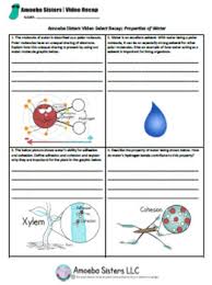 What are three statements mentioned in the video that. Amoeba Sisters Worksheet Answer Key