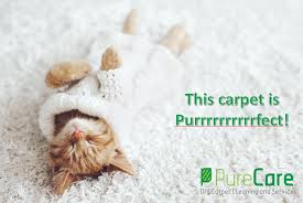 dry carpet cleaning carpet repairs