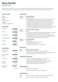 Business Resume Sample Writing Guide 20 Examples