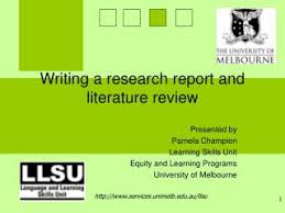qualitative research methodology literature review