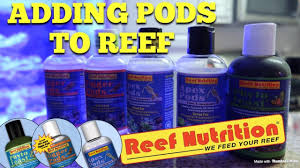 adding pods to reeftank reef nutrition