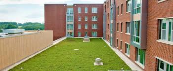 4 Reasons Green Roofs Do A Building