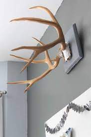 Deer Antler Wall Decor