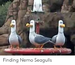 Create your own finding nemo mine seagulls meme using our quick meme generator. 25 Best Memes About Finding Nemo Gifs Finding Nemo Gifs Memes