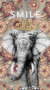 Elephant wallpaper, Elephant background ...