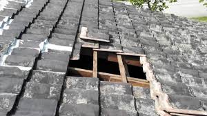 roof repair seri kembangan leaking