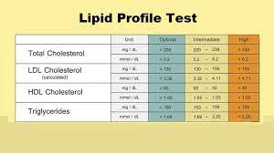understanding lipid profile test