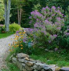 Top 10 Native Plants For The Northeast