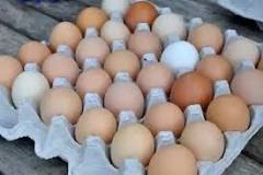What are 30 eggs called?