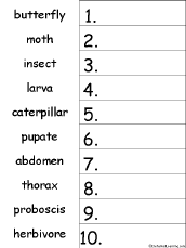 Create free printable worksheets for the order of operations (addition, subtraction, multiplication, division, exponents, parenthesis) for elementary (grades each worksheet is randomly generated and thus unique. Put The Words In Alphabetical Order Worksheets Enchantedlearning Com