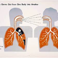 Tuberculosis Germs Get From One Body Into Another 1938