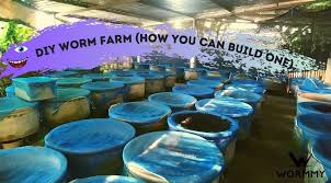 Diy Worm Farm How You Can Build One