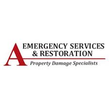 With over a decade serving homeowners and businesses throughout Chicago,  Skokie, Lincolnwood, Morton … | Damage restoration, Flood restoration,  Restoration services