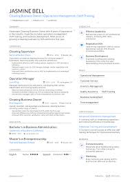 cleaning business owner resume exles