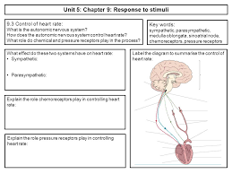 AP Biology Exam Review Clear Biology Term paper Academic Writing Service  hangthewitch com