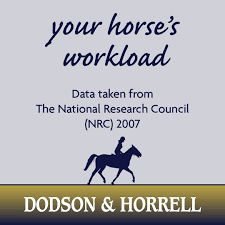 how workload is defined dodson horrell