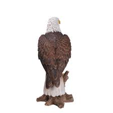 Large Bald Eagle On Stump