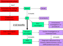 motor neurone disease mnd