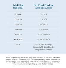dog feeding chart how much how often