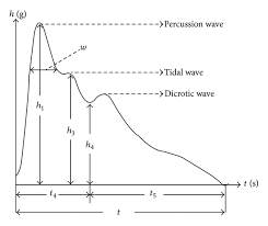 Height And Time Variables Of A Typical Pulse Cycle H1