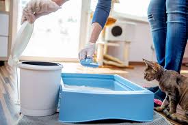 how to clean your cat s litter box