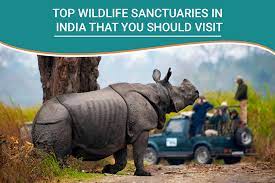 wildlife sanctuaries in india