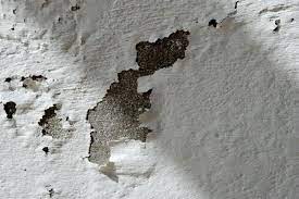 how to paint a damp wall effective
