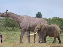 The 20 Biggest Prehistoric Mammals