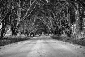 black and white country road background