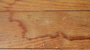 get stains out of hardwood floors