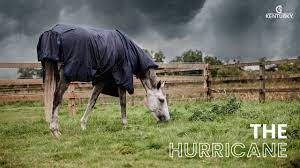 turnout rug all weather hurricane navy