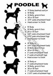 Pin On Grooming Guide