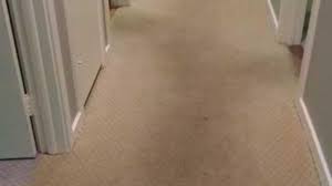 carpet cleaning stamford dms carpet