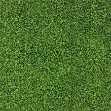 Grass Textures Grass Texture Seamless