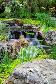 5 Pond Plant Tips For Your Customer S